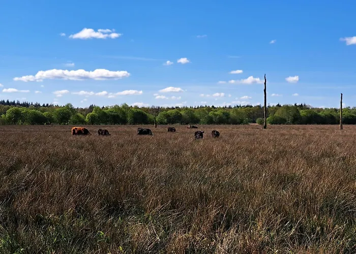 Natuurhuisje Meppen