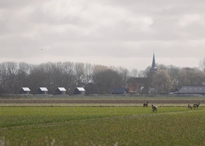 Wad & Loft Unieke Paalwoning Vlakbij De Waddenzee